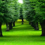 Читы для CS 1.6